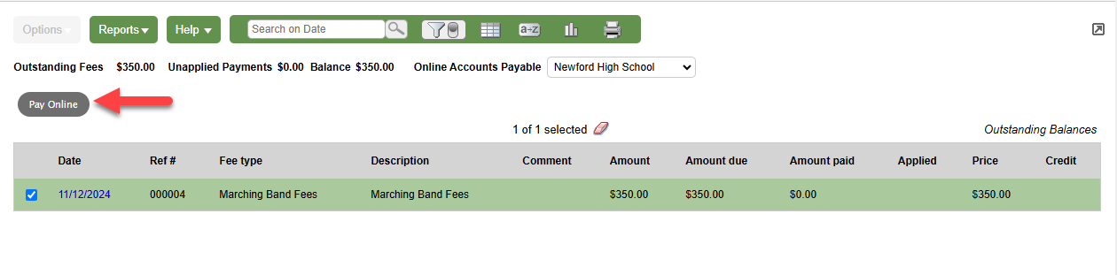 Fees page with Pay Online button highlighted
