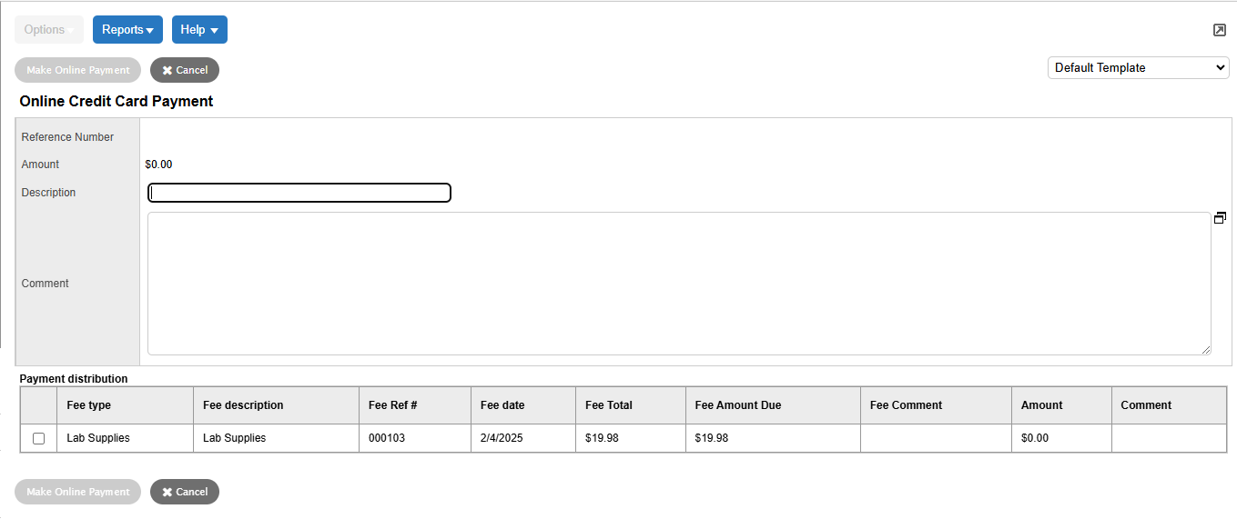 Online Credit Card Payment page